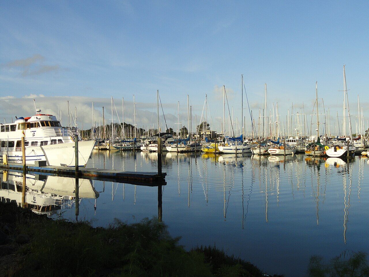 Sailboats moored at Berkeley Marina