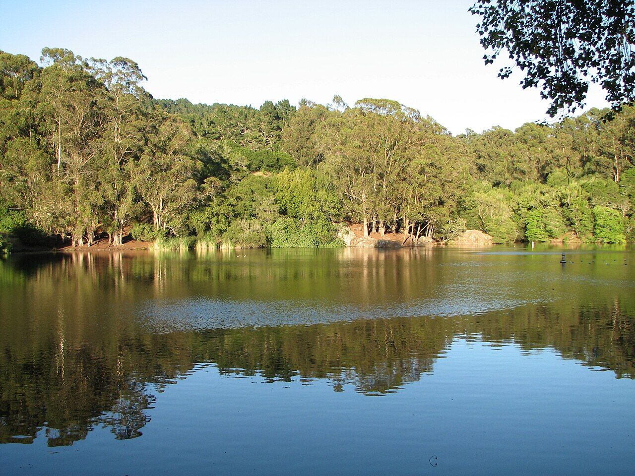 Lake Anza with forest reflection