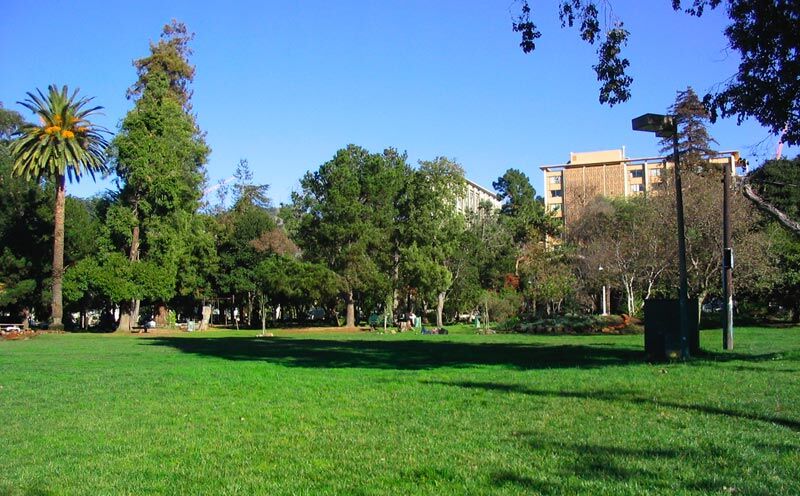 Green lawn and trees in People's Park with open space