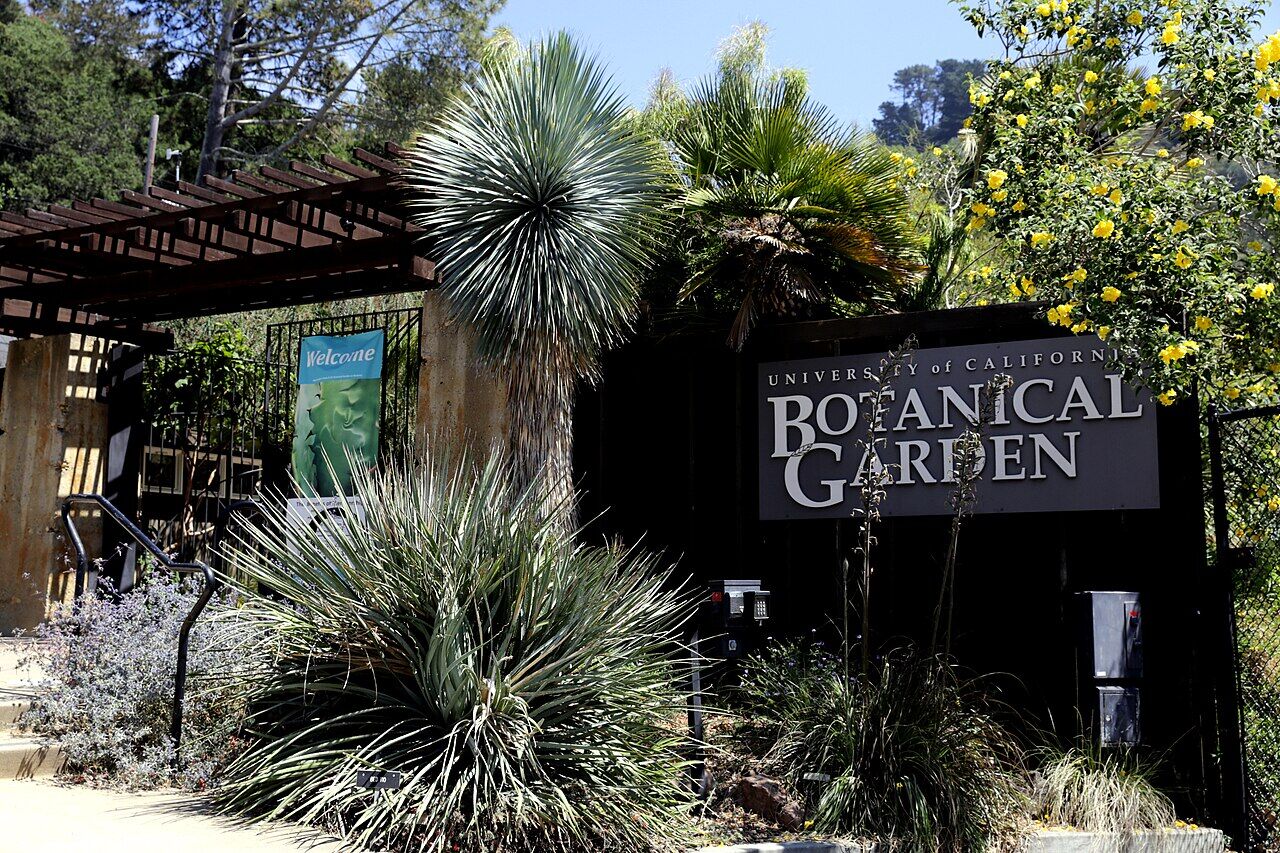 Entrance to UC Botanical Garden with sign and native plants