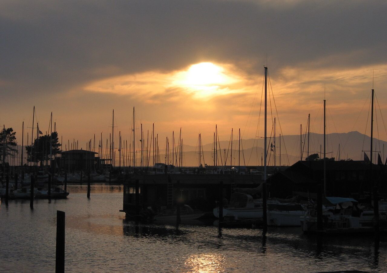 Berkeley Marina sailboats at sunset