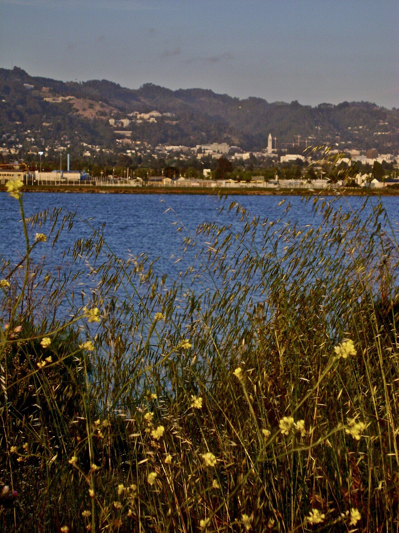 Berkeley Hills